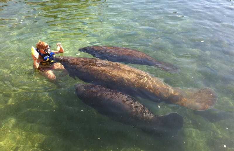 Cozumel: Manatee Encounter, Chankanaab Admission and Buffet - Guide quality and group pacing, especially around photos