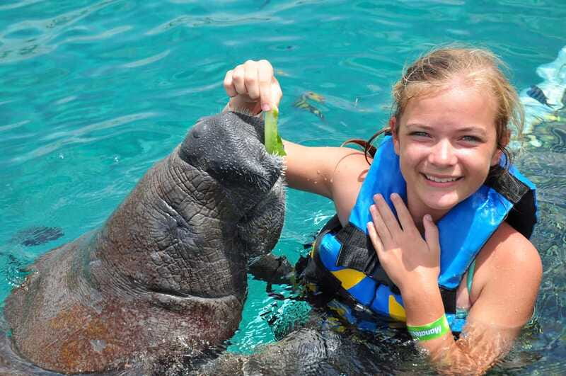 Cozumel: Manatee Encounter, Chankanaab Admission and Buffet - Who should book this Cozumel manatee encounter