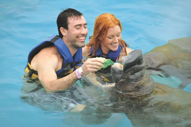 Cozumel: Manatee Encounter, Chankanaab Admission and Buffet - Step-by-step: from briefing to touch, hug, and feeding