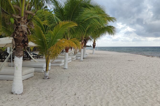 Cozumel Mayan Ruins and Beach Break - The San Gervasio Mayan site: the only pyramid on Cozumel