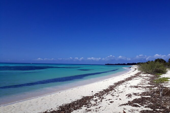 Cozumel National Park and Beach Break: Private Tour - How a private Cozumel loop plus Punta Sur fits a real port day