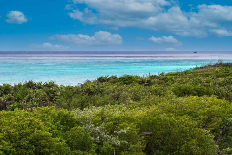 Cozumel: North Shore E-Bike Adventure & Beach Break - Guides, Group Pacing, and Safety on an E-Bike Tour