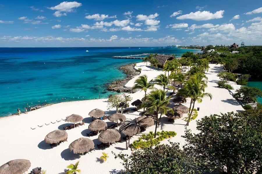Cozumel: Official Chankanaab Park and Snorkeling with Lunch - Getting there and finding the right staff at the lobby