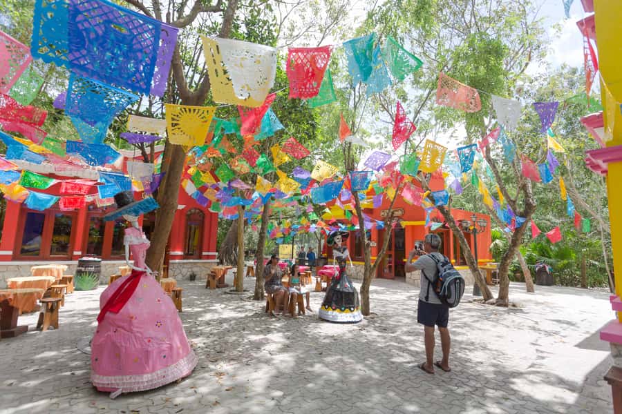 Cozumel: Official Chankanaab Park and Snorkeling with Lunch - Sea lion shows and the beach setup that makes downtime pleasant
