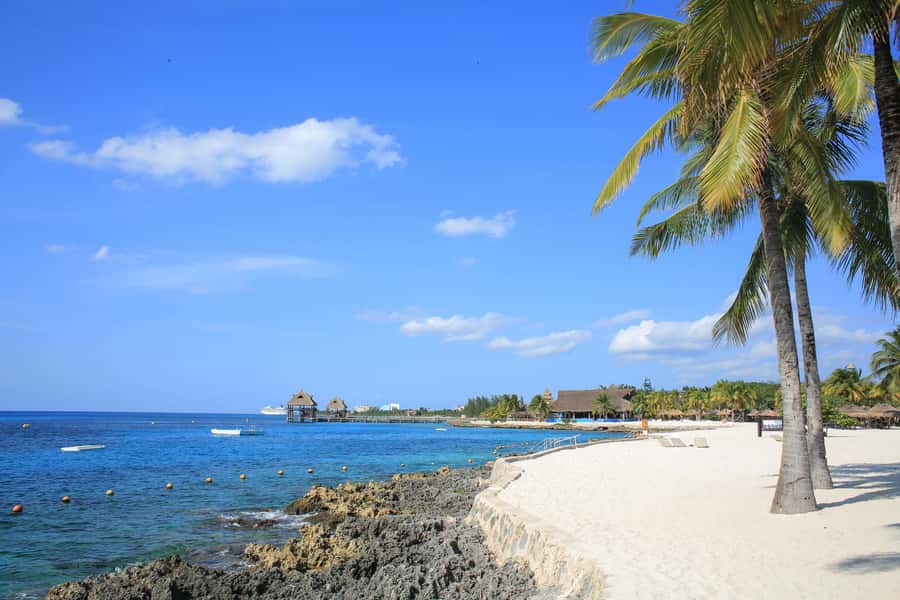 Cozumel: Official Chankanaab Park and Snorkeling with Lunch - How long it takes, and how to plan your exact day