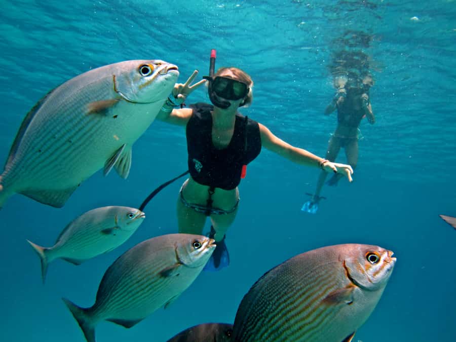 Cozumel: Official Chankanaab Park and Snorkeling with Lunch - Who this experience is best for