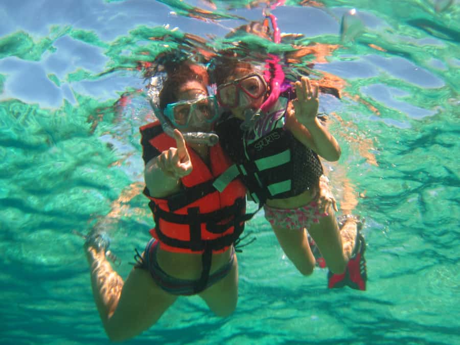 Cozumel: Official Chankanaab Park and Snorkeling with Lunch - Price and what you get for $53 per person