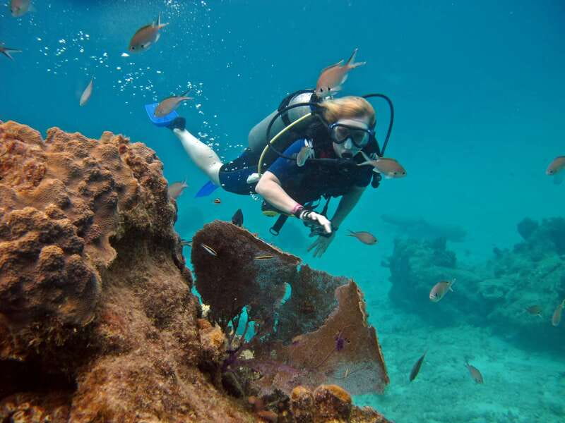 Cozumel: One Tank Scuba Dive and Full Chankanaab Park Access - Key things that make this Cozumel combo worth it