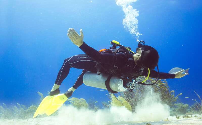 Cozumel: One Tank Scuba Dive and Full Chankanaab Park Access - Chankanaab in Cozumel: the smart setting for your first scuba session