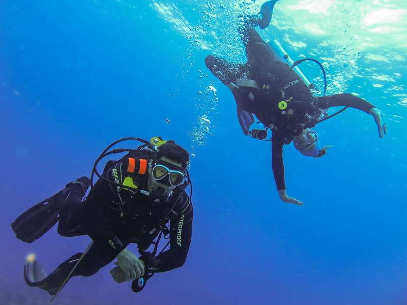 Cozumel: One Tank Scuba Dive and Full Chankanaab Park Access - The national-park section: why the location matters