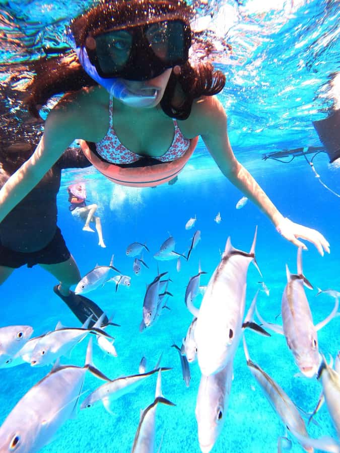 Cozumel: Palancar, Columbia and Cielo Reefs Snorkeling Tour - Should you book this Cozumel Palancar, Columbia, and Cielo reefs tour?