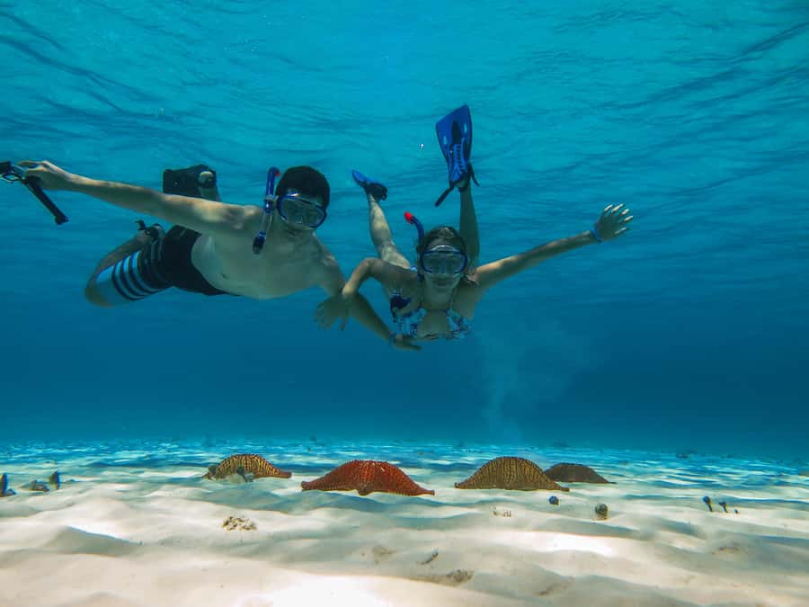 Cozumel: Palancar, Columbia and Cielo Reefs Snorkeling Tour - Why Cozumel Reefs Fit Perfectly Into a 4-Hour Plan