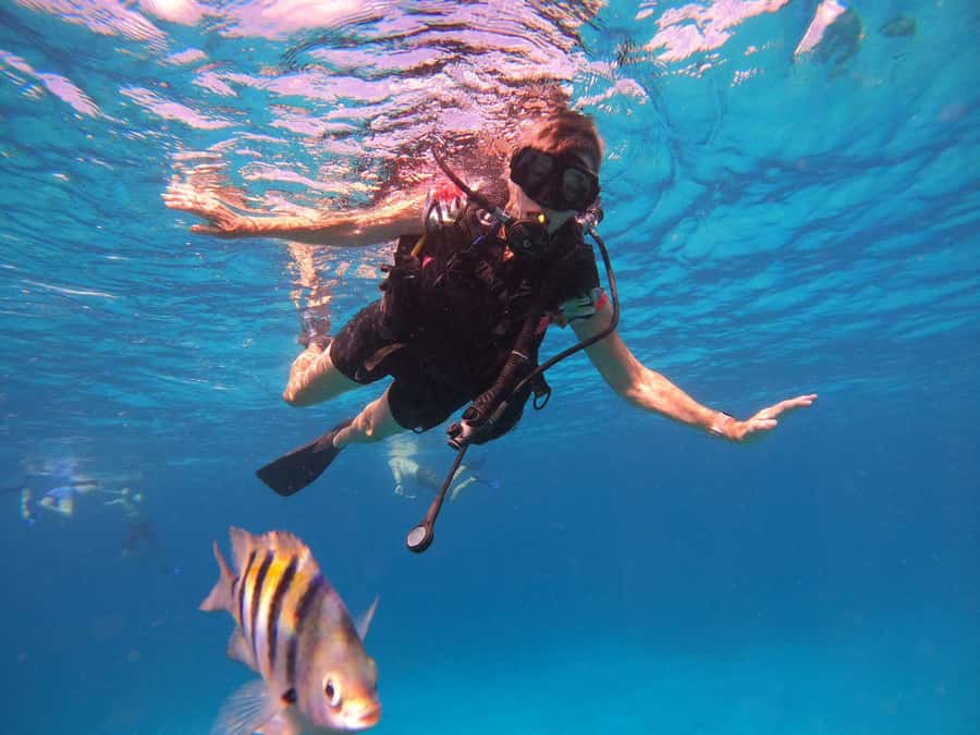Cozumel: Palancar, Columbia and Cielo Reefs Snorkeling Tour - The boat, the gear, and why the crew’s attitude matters