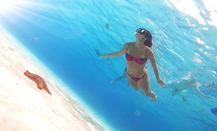 Cozumel: Palancar, Columbia and Cielo Reefs Snorkeling Tour - Price and real value, plus that marine fee you must plan for