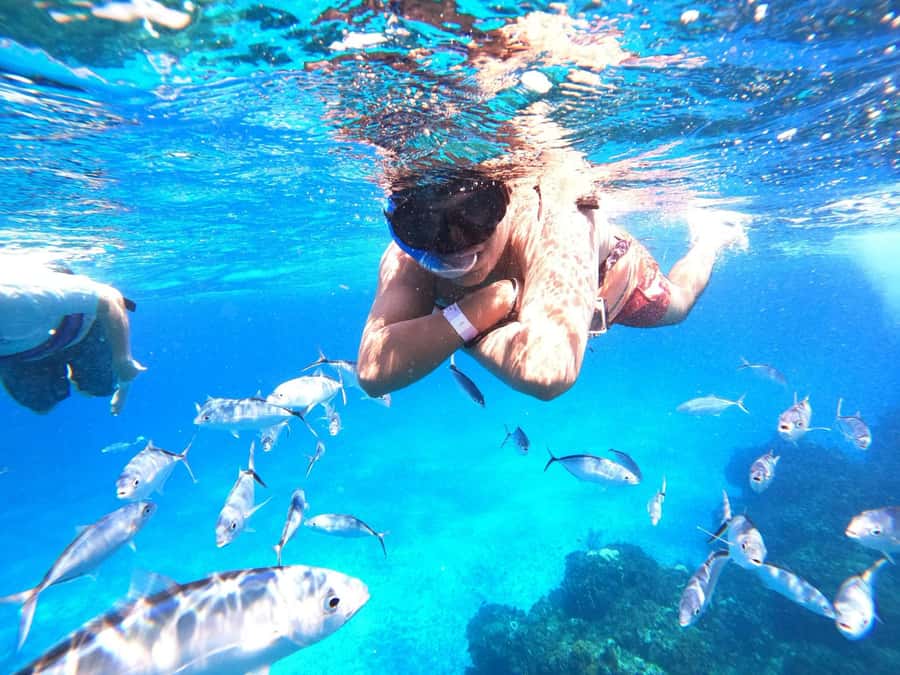 Cozumel: Palancar, Columbia and Cielo Reefs Snorkeling Tour - Who should book this tour, and who should rethink it
