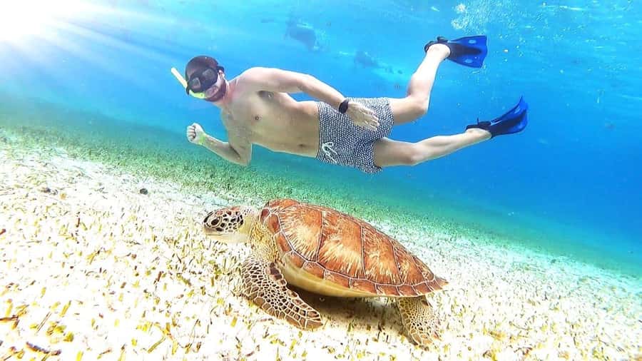 Cozumel: Palancar, Columbia and Cielo Reefs Snorkeling Tour - Getting to Marina Cozumel ASIPONA (and not losing time)