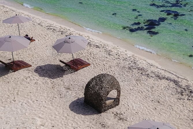 Cozumel Playa Palancar VIP All Inclusive Day Pass - Timing and how to make the day feel relaxed