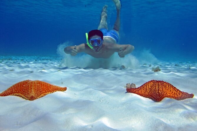 Cozumel Private 4-hour Boat Tour to El Cielo with Snorkeling - Private Boat in Cozumel, 4 Hours That Feel Like Your Day