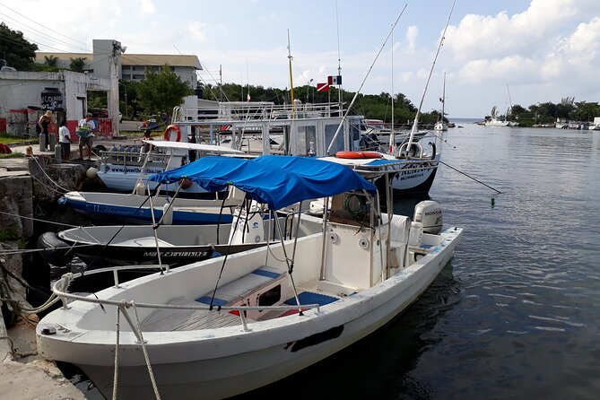 Cozumel Private 4-Hour Boat Tour to Passion Island - Food and Drinks on Board: Guacamole, Fruits, and the Ceviche Buzz