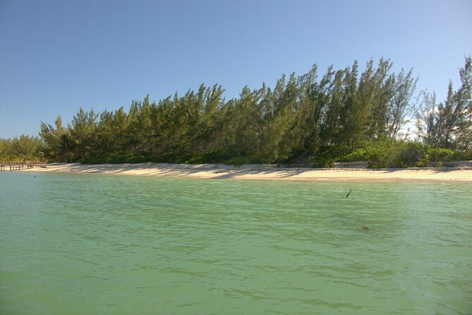 Cozumel Private 4-Hour Boat Tour to Passion Island - How to Get the Most From Short Snorkel Windows