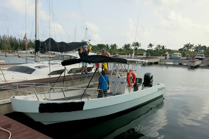 Cozumel Private 4-Hour Boat Tour to Passion Island - Isla Pasion Stop: Secluded Beaches, Clear Rules, and Real Time to Relax