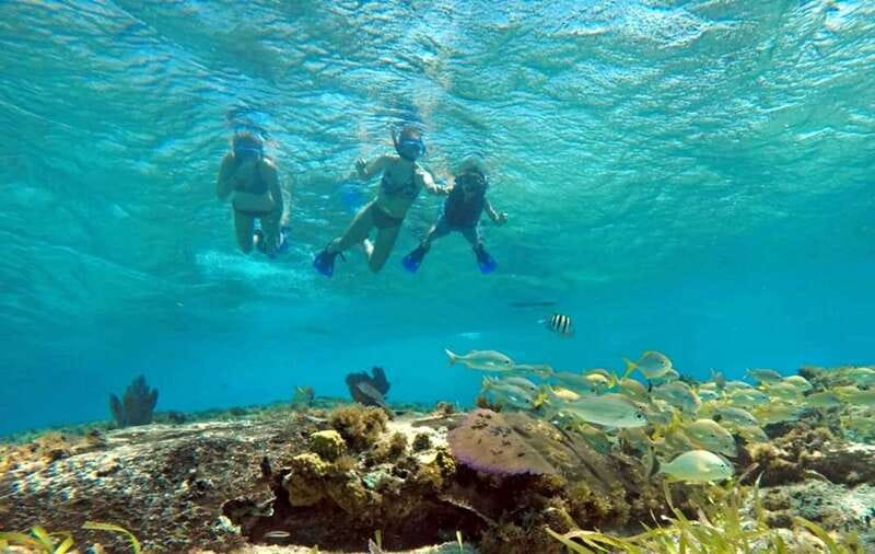 Cozumel: Private Charter Boat and Snorkel Day Trip - Quick hits