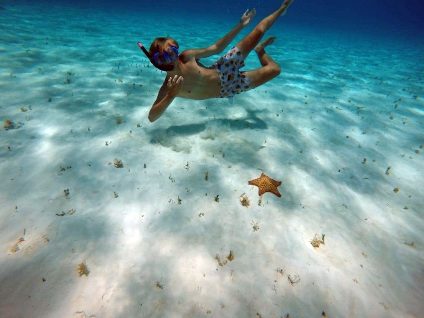Cozumel: Private Charter Boat and Snorkel Day Trip - What the 4 Hours Actually Feel Like