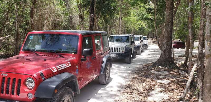 Cozumel: Private Jeep Tour Shore Excursion - Pickup options from cruise area, and why your meeting spot matters