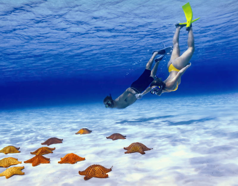 Cozumel: Private Snorkel Tour El Cielo + 3 Reefs Food Drinks - Key Points You’ll Care About
