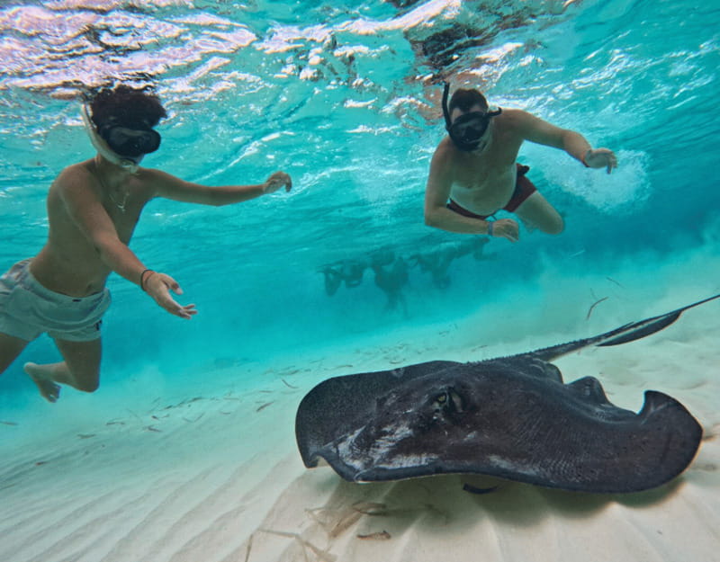 Cozumel: Private Snorkel Tour El Cielo + 3 Reefs Food Drinks - Food and Drinks On Board, Plus What Makes It Feel Worth It
