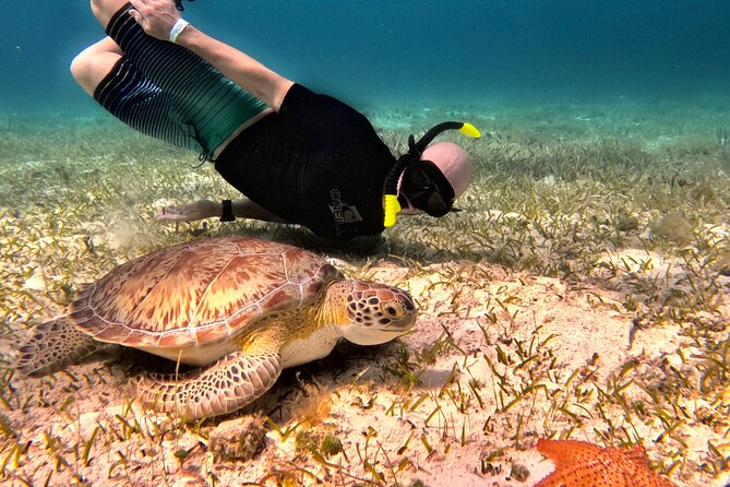 Cozumel Private Snorkeling and Charter Experience - Why This Private Cozumel Snorkel Charter Feels Worth It