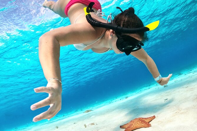 Cozumel Private Snorkeling and Charter Experience - Food, Drinks, and the Snacking Rhythm You’ll Appreciate