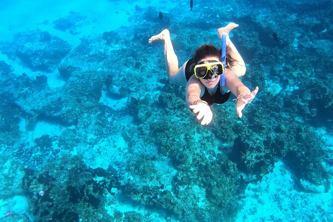 Cozumel Private Snorkeling and Charter Experience - Playa El Cielo: Why This Stop Gets People Excited