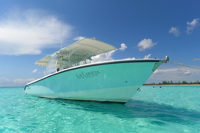 Cozumel Private Snorkeling and Charter Experience - Other Possible Stops: El Cielito and a Turtle Sanctuary Option