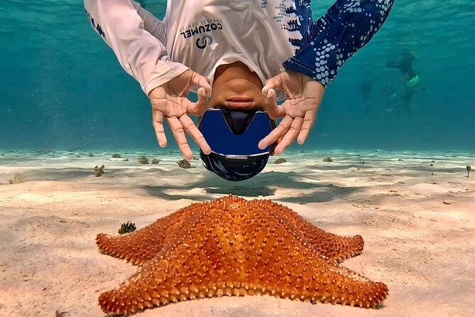 Cozumel Private Snorkeling and Charter Experience - Pickup and Meeting Points: How to Avoid Time-Sink Stress