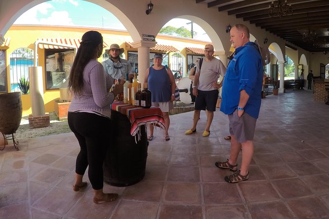 Cozumel Private Van Service with Snorkel Tour - Price and What You Actually Get for $89