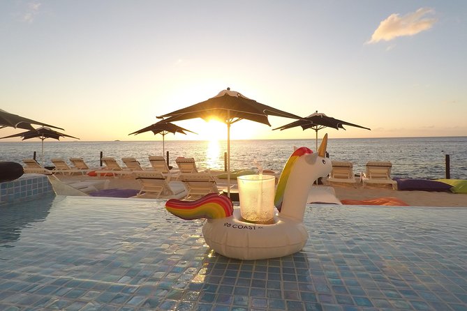 Cozumel Private Van Service with Snorkel Tour - Who This Cozumel Snorkel Van Tour Suits Best