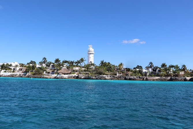 Cozumel Reef Snorkeling Tour - Palancar Reef and Columbia Reef: more coral time, 30 minutes each