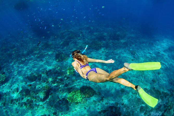 Cozumel Reef Snorkeling Tour - San Miguel de Cozumel free hour: a cruise-ship town stop that feels like Mexico