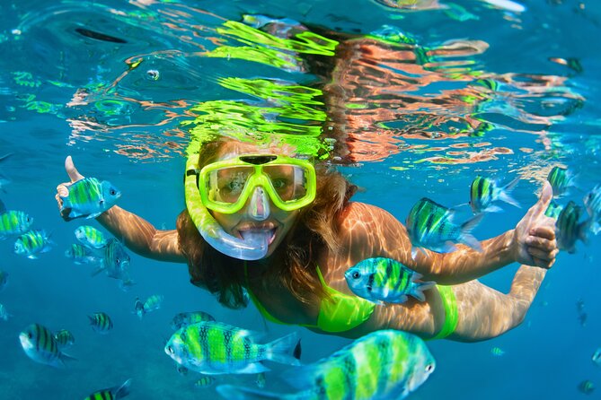 Cozumel Reef Snorkeling Tour - Speedboat ride, weather, and tour timing from Cozumel vs Playa del Carmen