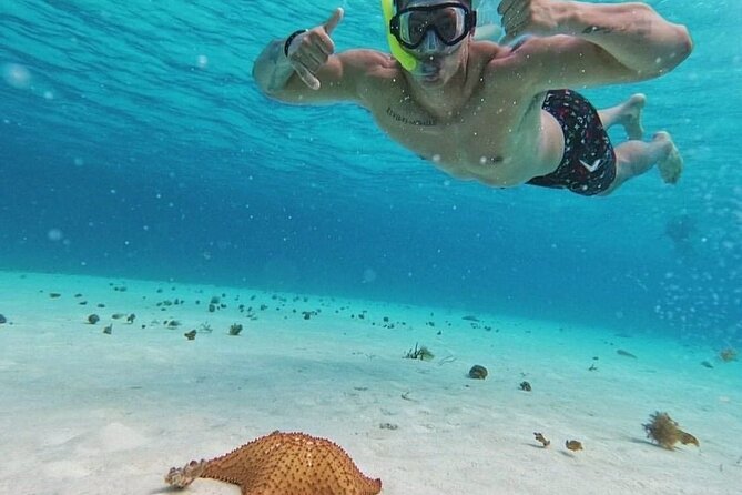 Cozumel's Reefs in El Cielo, Palancar and Columbia Guided Tour - Snorkel Gear, Fins, and the Reality of Life Jackets