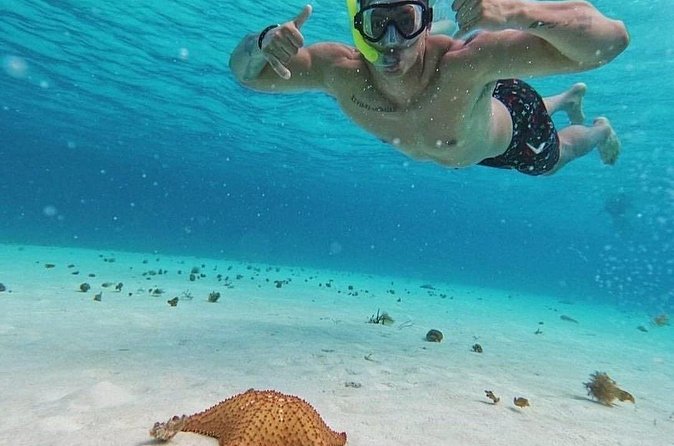 Cozumel's Reefs in El Cielo, Palancar and Columbia Guided Tour - Food, Drinks, and the Included Ceviche Break