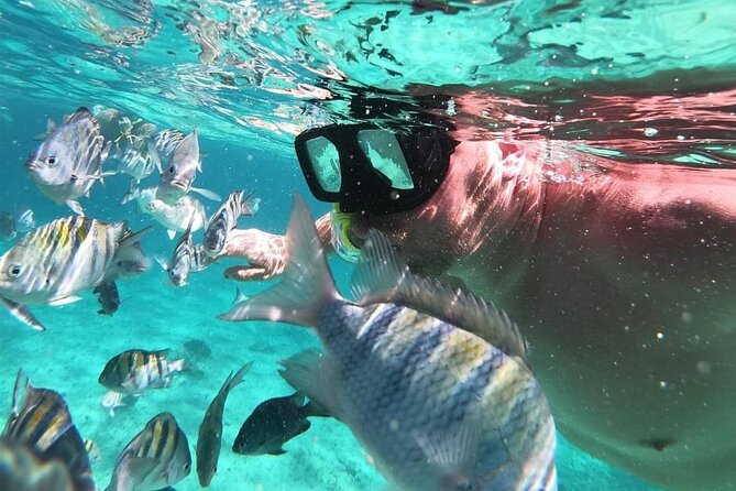 Cozumel's Reefs in El Cielo, Palancar and Columbia Guided Tour - Columbia Reef: First Stop, Deep-Feeling Snorkeling and Big Marine Views