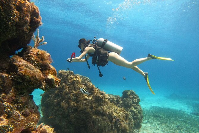 Cozumel Scuba Dive at Chankanaab - Why This One-Tank Intro Scuba Session Works in Cozumel