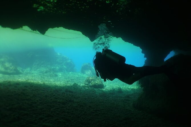 Cozumel Scuba Dive at Chankanaab - Balones of Chankanaab: The Stops That Turn Photos Into Memories
