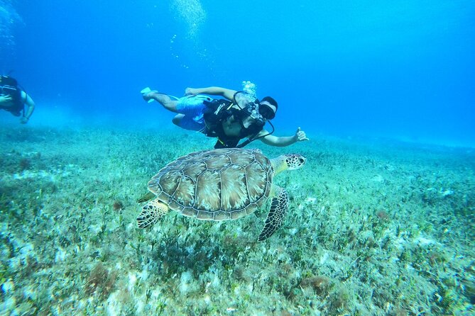 Cozumel Scuba Dive at Chankanaab - Safety, Comfort, and the Stuff People Forget to Pack