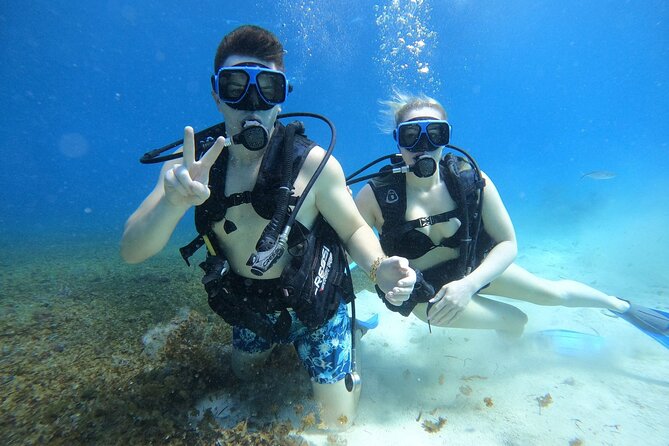 Cozumel Scuba Dive at Chankanaab - Value Check: Is $85 a Good Deal for Chankanaab?