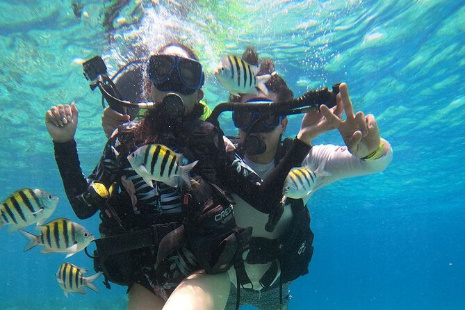 Cozumel Scuba Dive at Chankanaab - After the Water: Beach Time, Loungers, Snorkeling Add-Ons, and Drinks