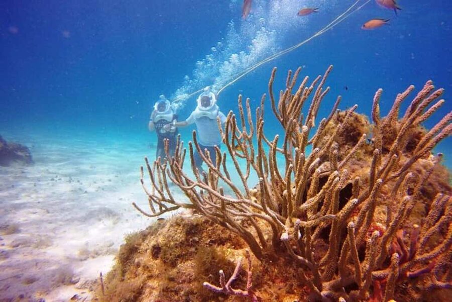 Cozumel: Sea Trek Adventure at Chankanaab National Park - Price and value: what the $79 really covers