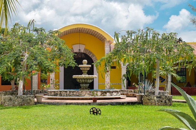 Cozumel Shore Excursion: 5-Hour Sightseeing Tour with Private Driver - San Gervasio Mayan Ruins: the culture stop that costs a bit extra